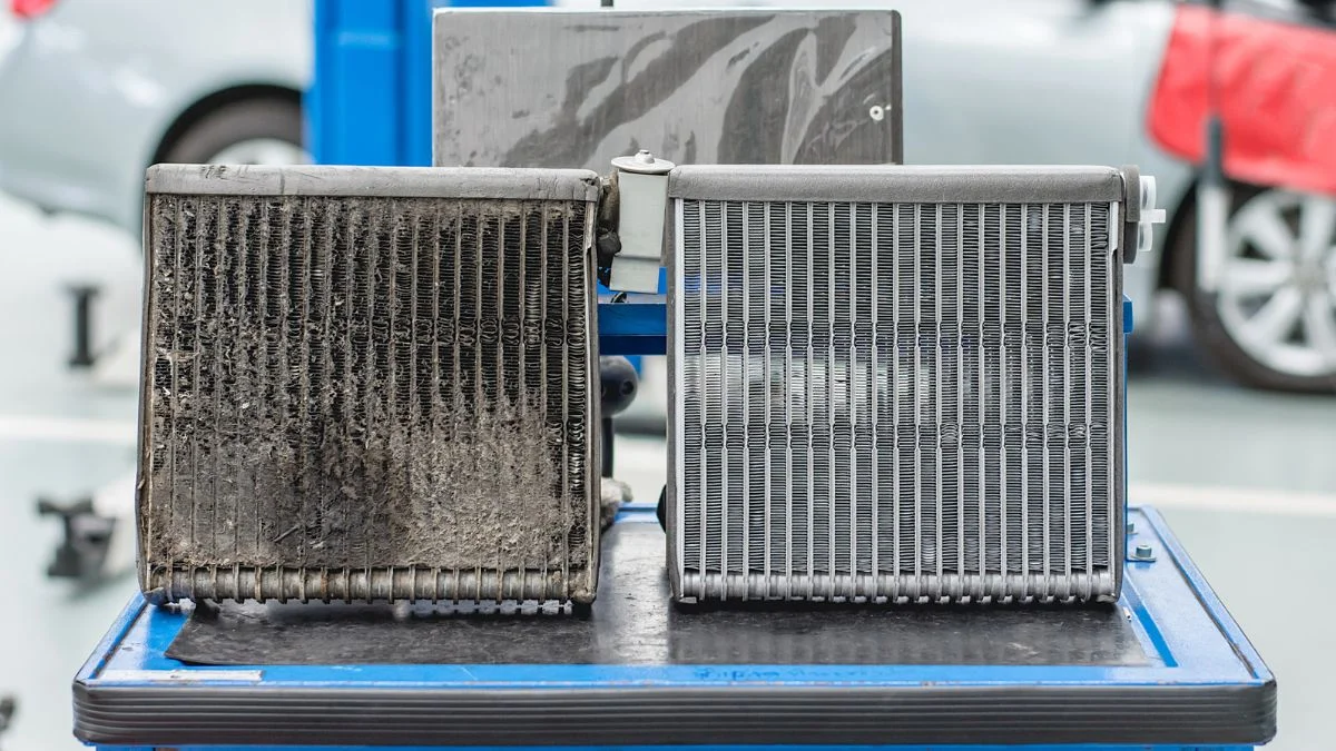 Penumpukan bakteri dan jamur di Evaporator