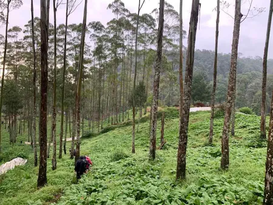 Curug Panganten Kembar