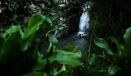 Curug Tilu Leuwi Opat