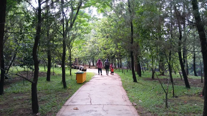 Hutan Kota BSD