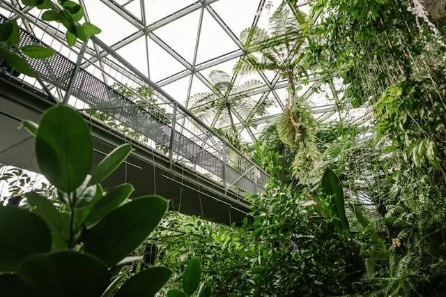 Jababeka Botanical Garden