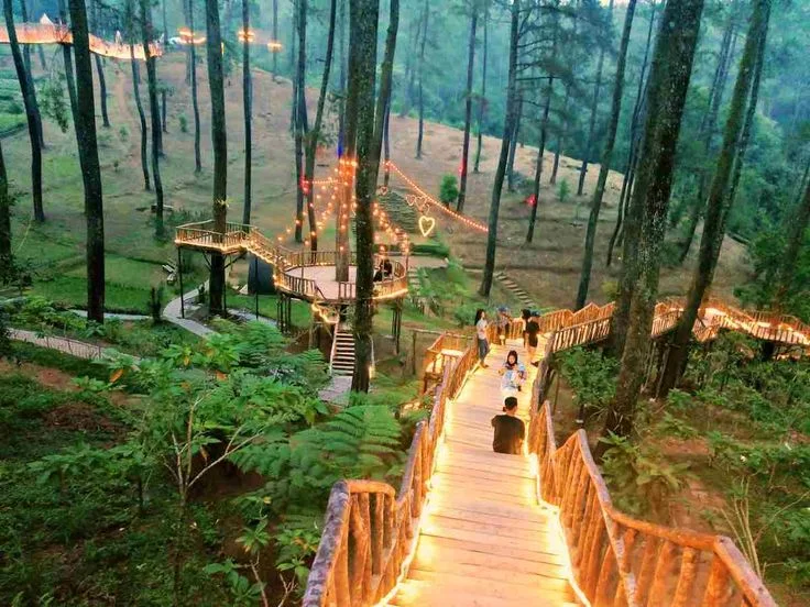 Orchid Forest Cikole