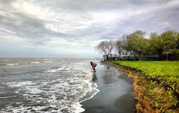 Pantai Muara Gembong