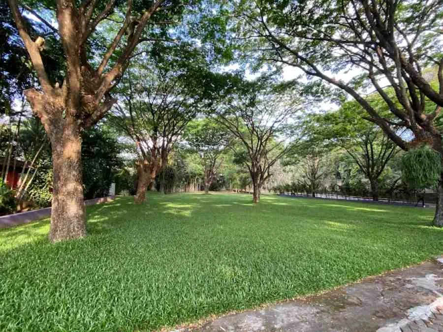 Piknik di Alam Terbuka