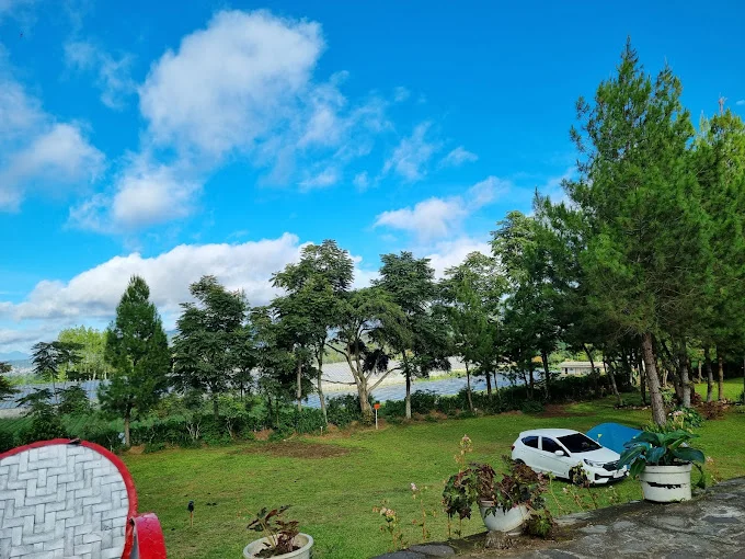 Pine Forest Camp
