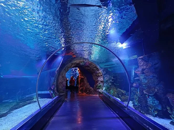 Daya Tarik Utama BXSea Oceanarium Tangerang