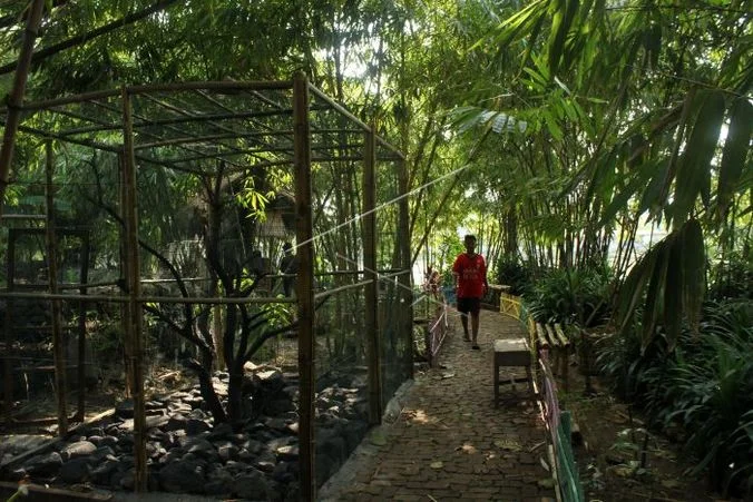 Hutan Bambu Bekasi