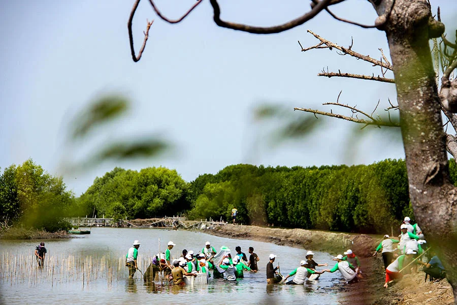 Hutan Mangrove Muara Gembong