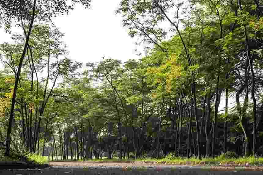 Jababeka Botanical Garden