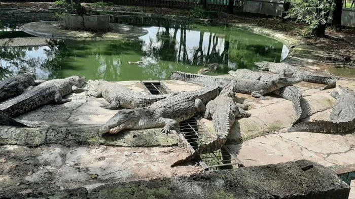 Tempat Wisata Alam di Bekasi