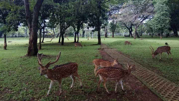 Taman Kemang Pratama