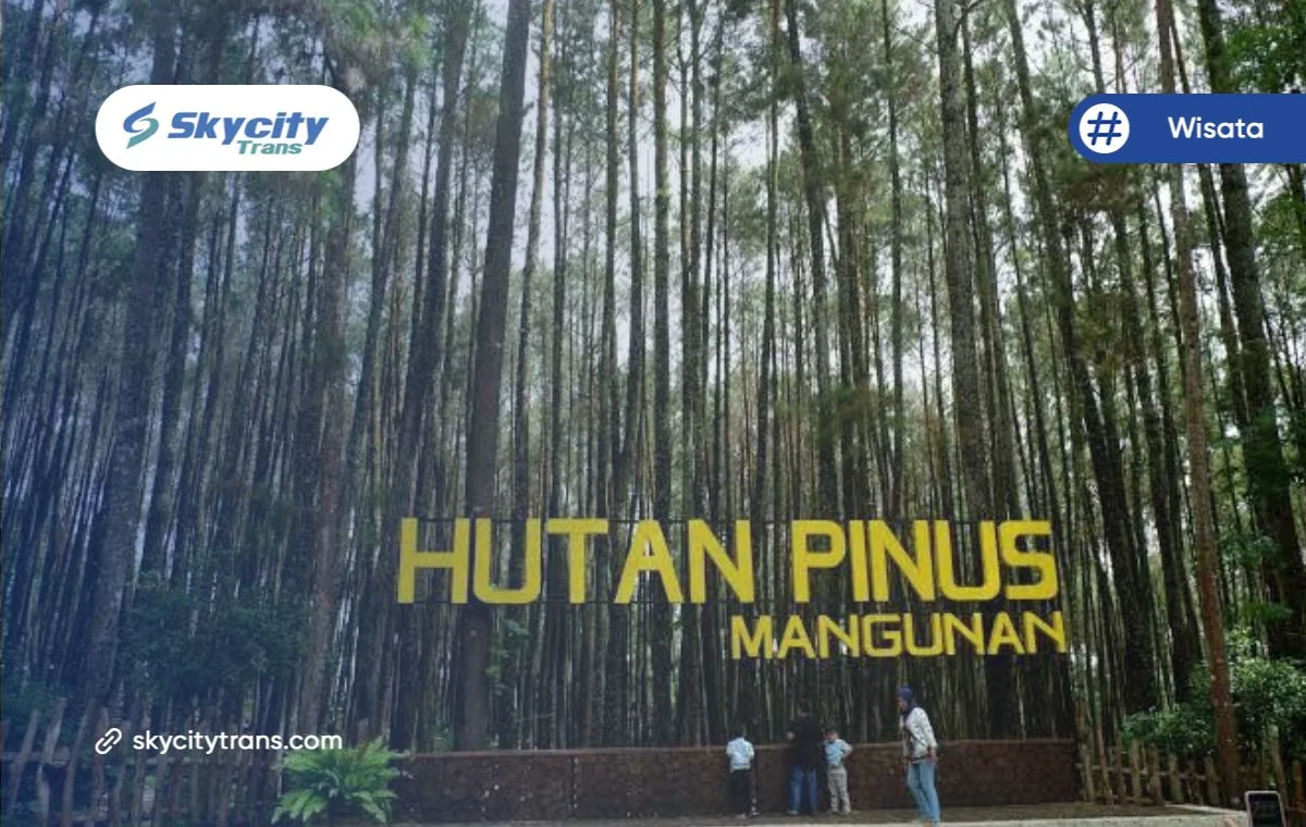 Hutan Pinus Jogja