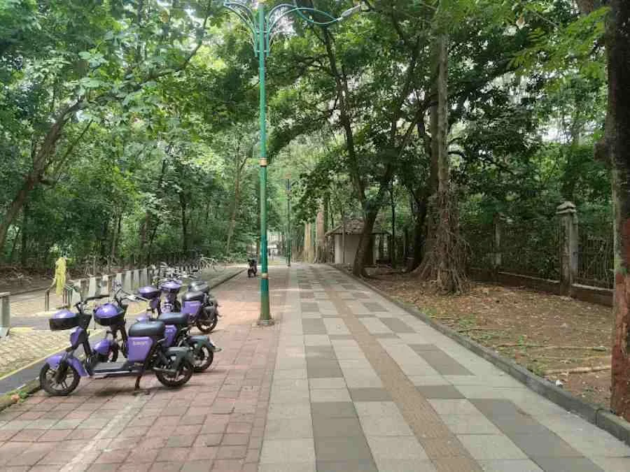 Hutan Kota UI