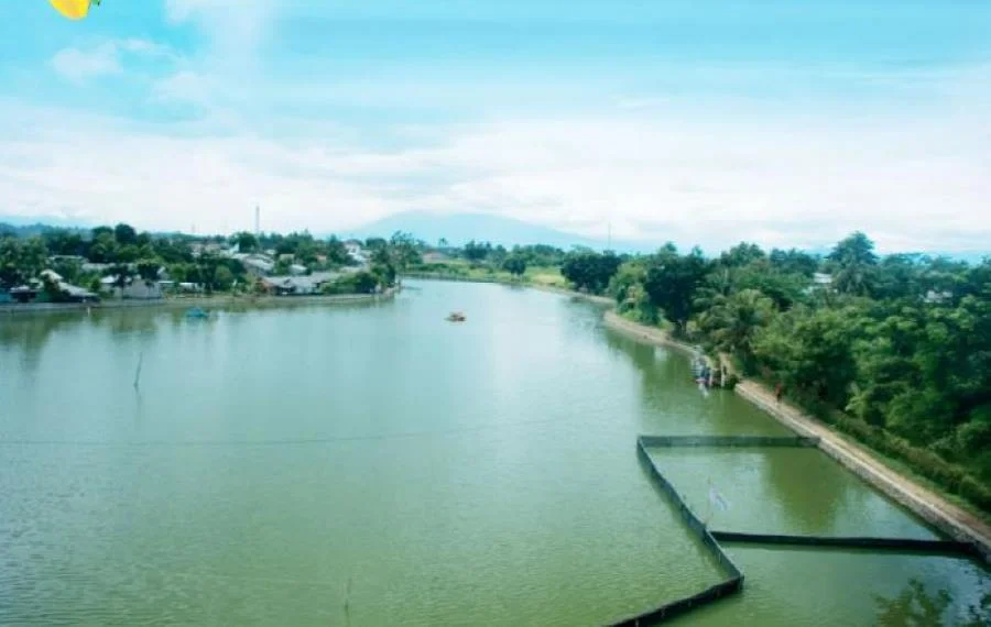 Situ Citayam