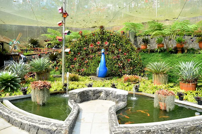 Bird & Bromelia Pavilion 