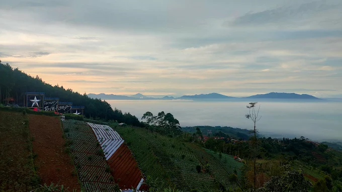 Bukit Moko 
