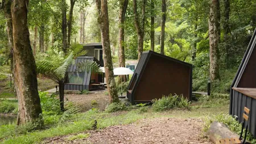 Bobocabin Ranca Upas