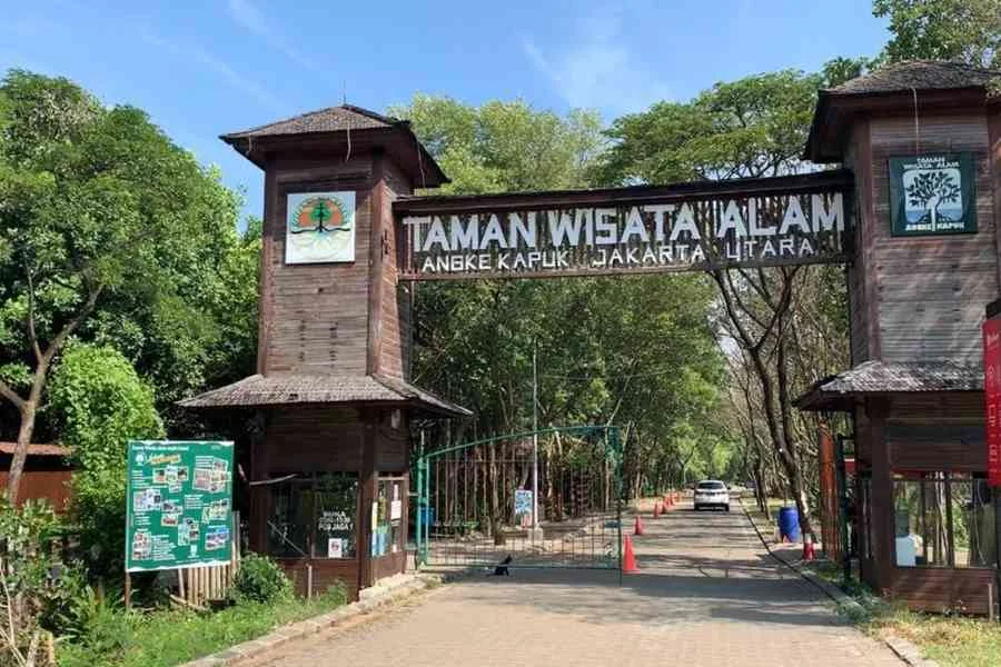 Taman Wisata Alam Mangrove Angke Kapuk