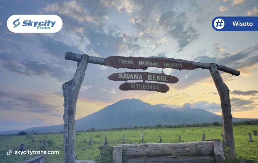 Taman Nasional Baluran, Harga Tiket - Skycity Trans