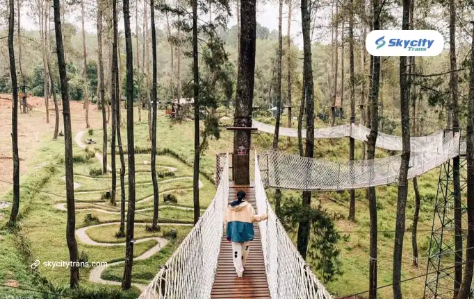 Orchid Forest Cikole