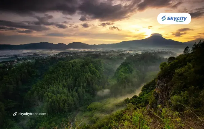 Taman Hutan Raya Djuanda (Tahura)