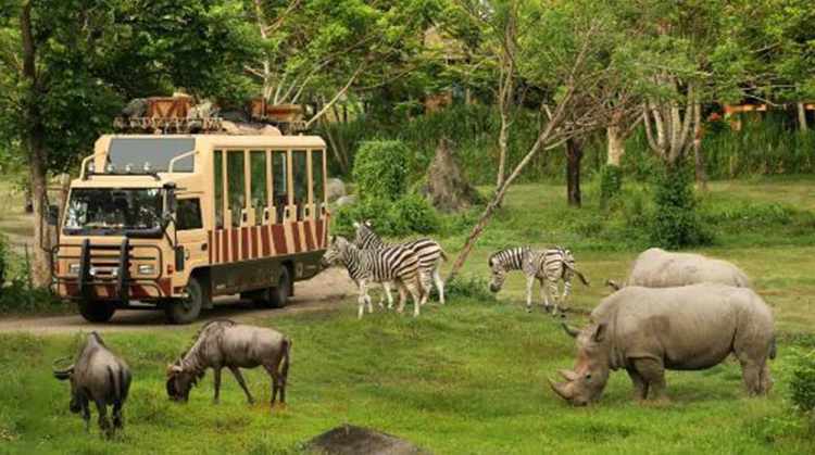 Bali Safari & Marine Park
