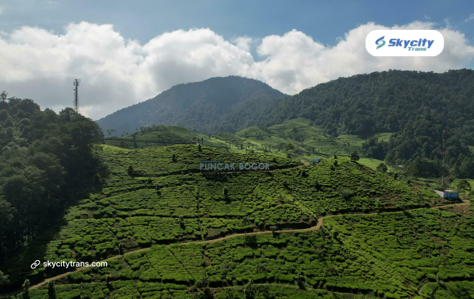 sewa hiace jakarta puncak