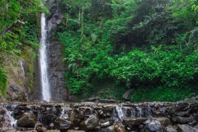 sewa hiace jakarta puncak
