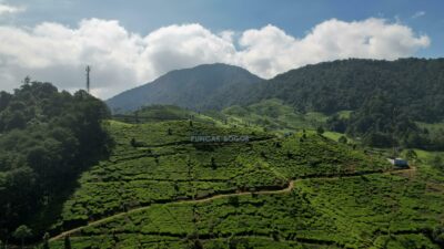 sewa hiace liburan keluarga jakarta