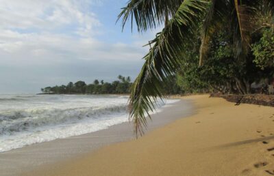 sewa hiace jakart anyer