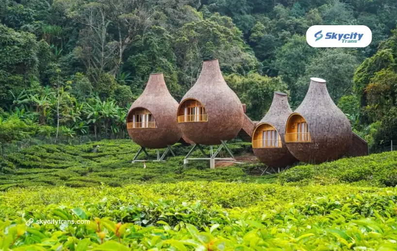 7 Wisata Alam Tersembunyi Sekitar Jaksel yang Pas buat Rombongan