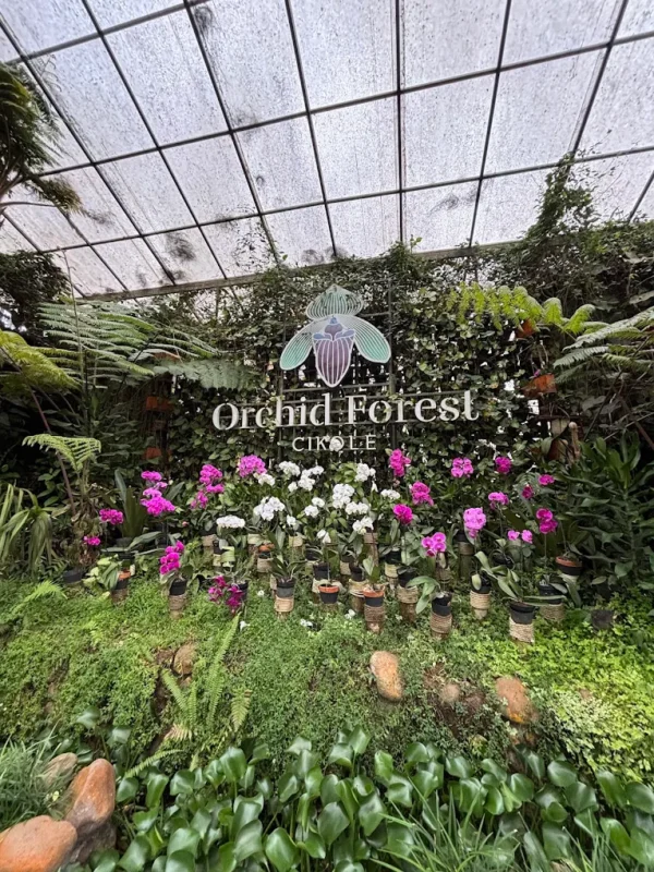 Orchid Forest Cikole