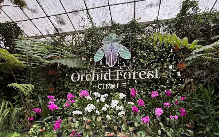 Orchid Forest Cikole