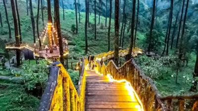 Orchid Forest Cikole