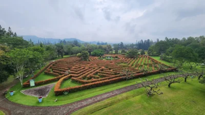 Taman Bunga Nusantara: Labirin