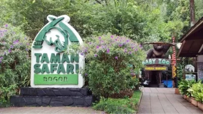 Itinerary study tour Bogor 3 hari 2 malam: Taman Safari Bogor